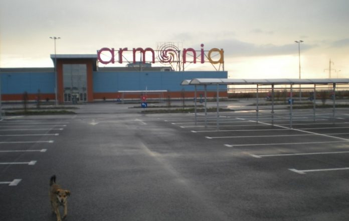 armonia arad