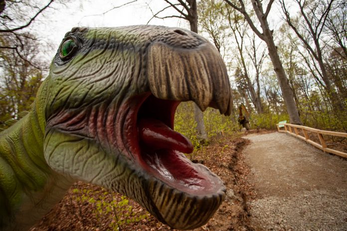 dino parc rasnov