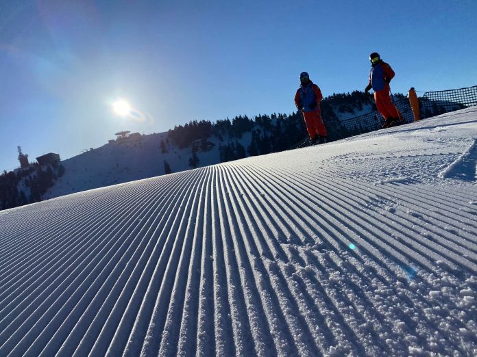 poiana brasov