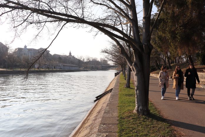timisoara
