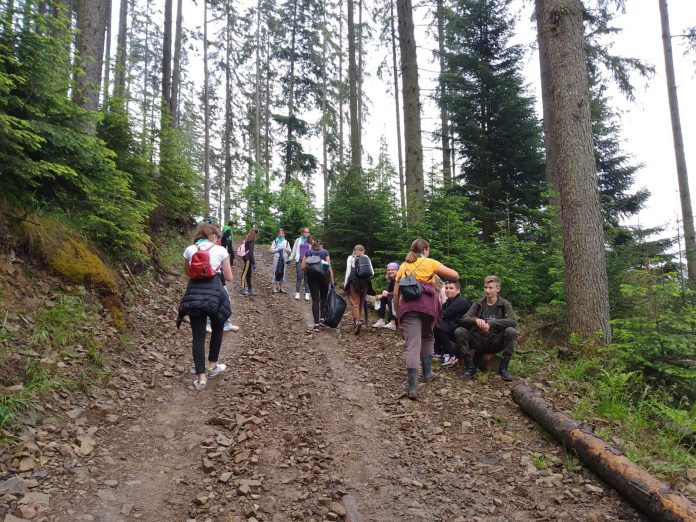 via transilvanica