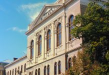 Digitalization’s Real Revolution: Intensifying Knowledge-Labor, Not Ending Capitalism