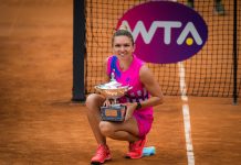 AnimaWings expands routes, teams up with Simona Halep